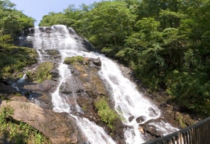 Amicalola Falls State Park waterfall from Wikipedia