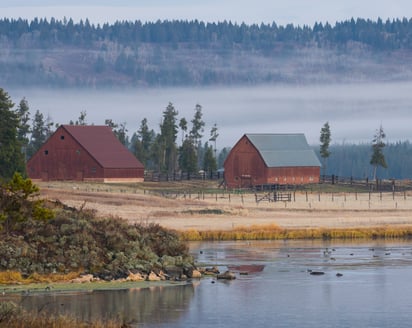 Harriman State Park buildings in fog