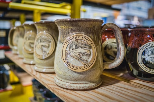 Petrified Forest National Park mug in Cinnamon Roll