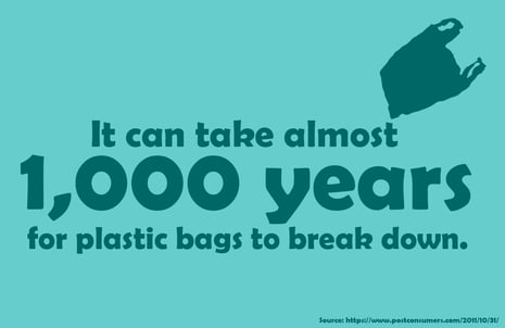 Plastic Bag fact